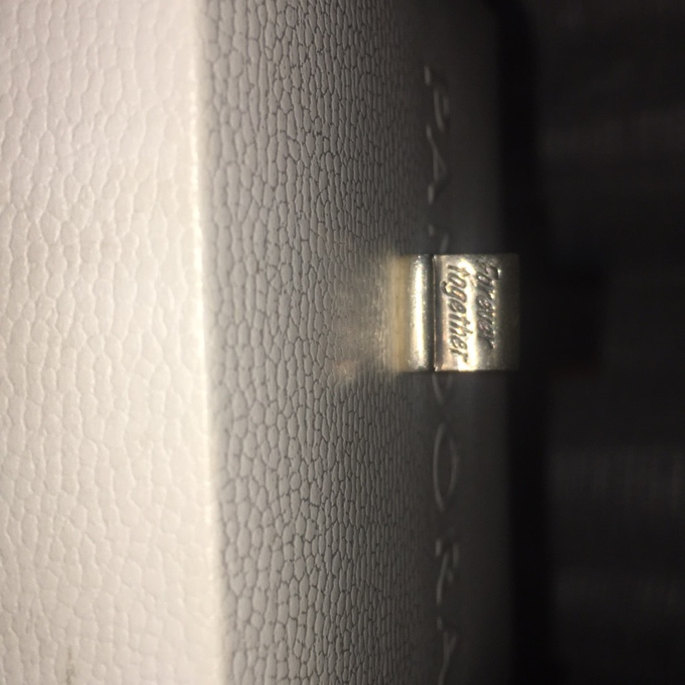 Pandora Charm